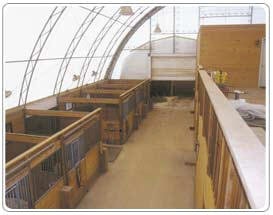 Overview of the Stables - Lang's Fabric Cover Arch Building - Commercial Equestrian Stables