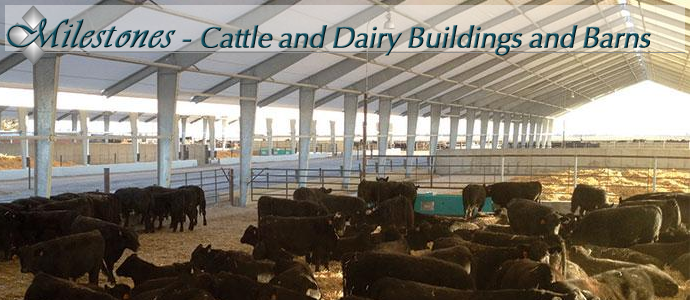 Crossover Cattle Building